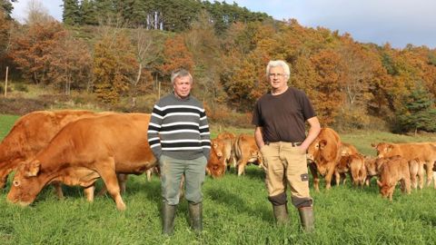 Jean-Paul Portal (à droite) est passionné de génétique limousine, tandis que son frère Claude gère plus spécifiquement le troupeau de prim’holsteins, également inscrit. © Monique Roque Marmeys